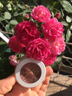 Phấn mắt colourpop