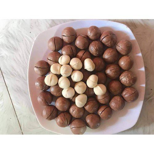 Hạt Macca Daklak loại 1 túi 500gr | BigBuy360 - bigbuy360.vn