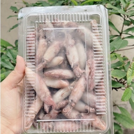MƯC HẤP THUYỀN  -  Mực được thuyền viên câu lên và hấp qua ngay trên thuyền | Hàng sẵn - Giao Nhanh - Khuyến Mãi