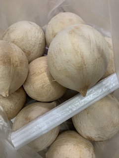 Dừa Xiêm Trọc Bến Tre