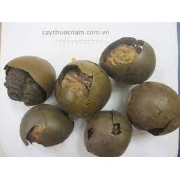 [Rẻ vô địch] La hán quả nứt bể do vận chuyển