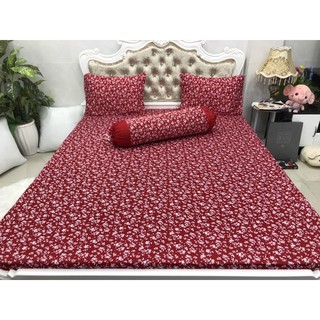 Bộ Drap Thun Hàn Quốc mát lạnh 4 món (Inbox nhiều mẫu lựa chọn)