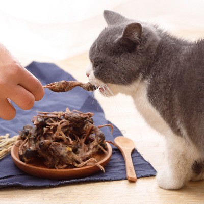 đồ ăn chim cút khô dành cho chó mèo