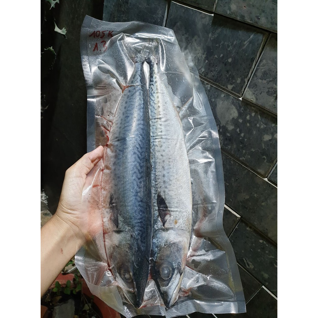 CÁ SAPA ( CÁ THU NHẬT ) 500gram