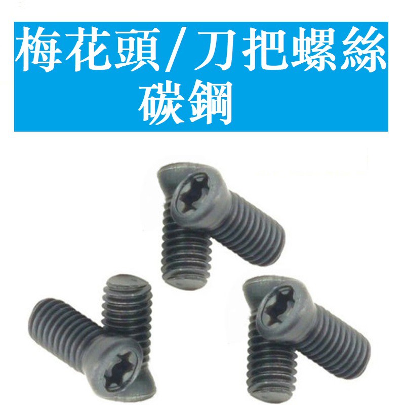 3090 >  Cấp 12.9 Đầu Torx Tay Cầm Dao Vít / Tay Cầm Dao Bu Lông / Tay Cầm Dao Vít