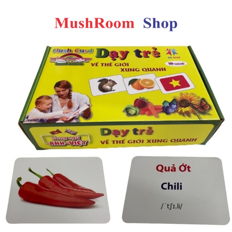 Bộ Thẻ Học Thông Minh 19 Chủ Đề Loại To Song Ngữ Chuẩn Glenn Doman Flashcard Cho Bé Từ 0-6 Tuổi