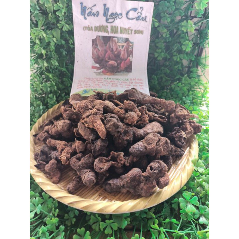 (1kg) NẤM NGỌC CẨU DÙNG ĐỂ NGÂM RƯỢU HÀNG CHUẨN 👌