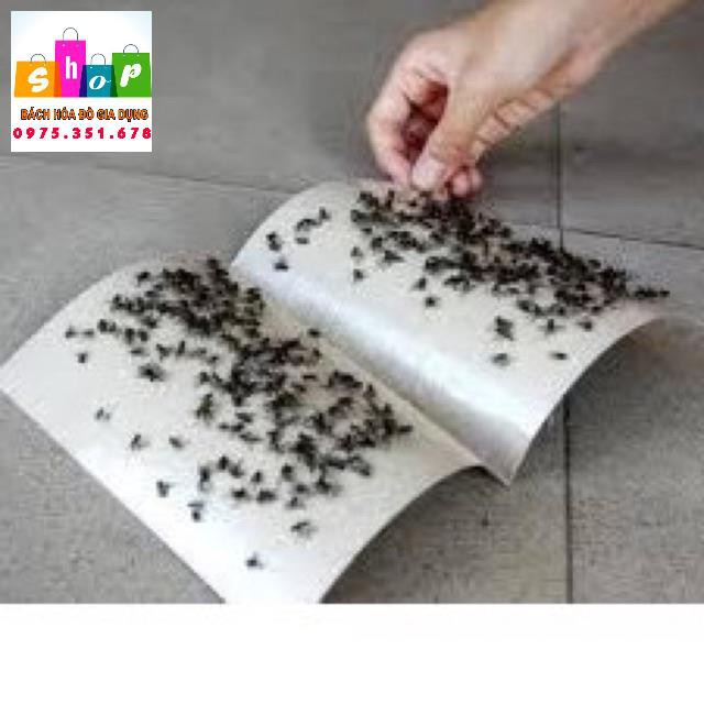 Keo dính ruồi siêu dính Nam Kiệt-Đại Việt chính hãng không độc hại-Giadung24h