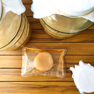 Con giống SCOBY và nước mồi ủ trà KOMBUCHA