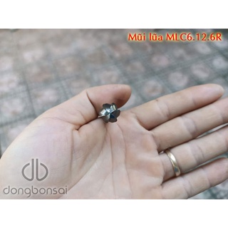Mũi lũa MLC6.12.6R