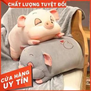 [GIÁ RẺ] Bộ Chăn Gối Tiện Ích 3 trong 1 ISunny