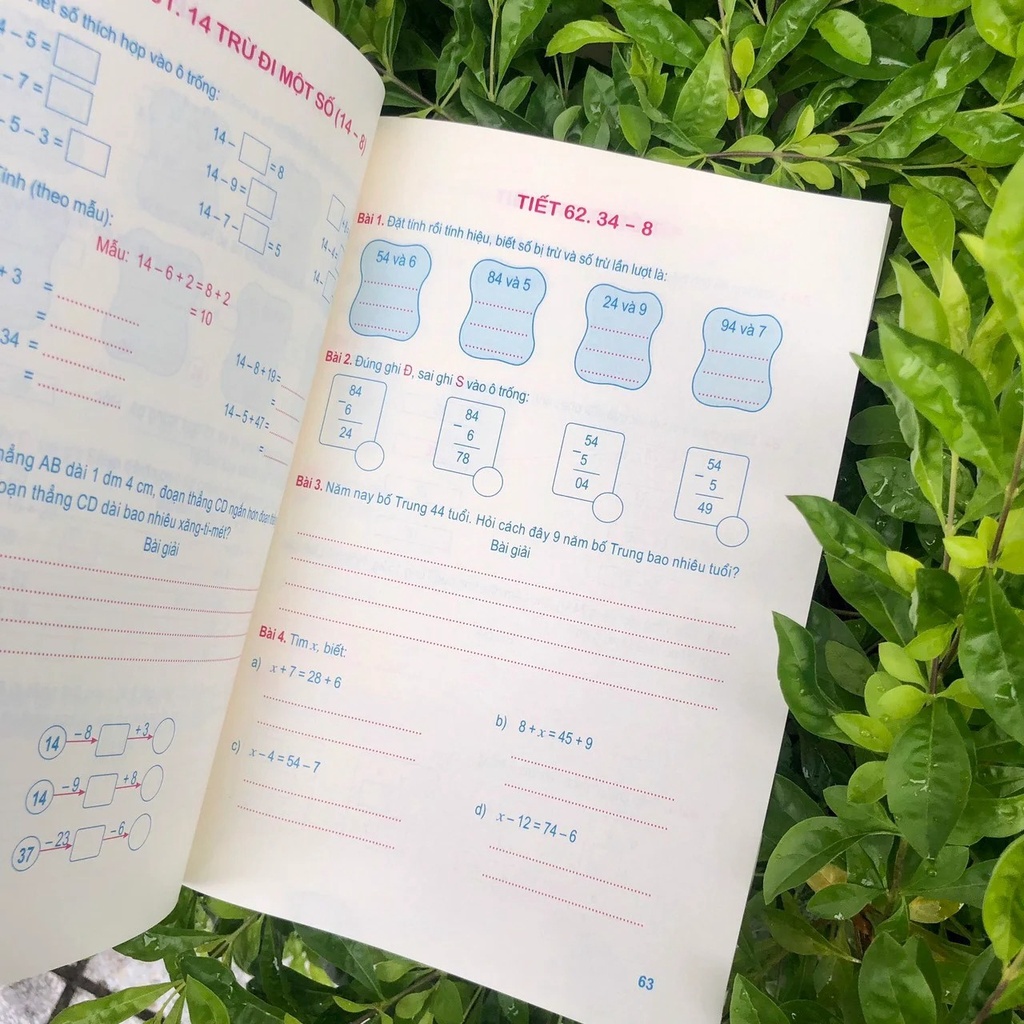 Sách: Bài Tập Toán Nâng Cao Lớp 2