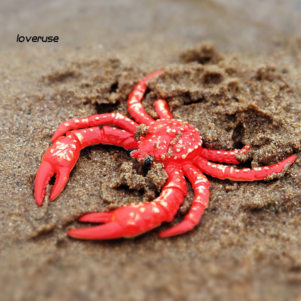 LOVE_Simulation Hermit Crab Marine Animal PVC Model Desktop Decor Education Kids Toy