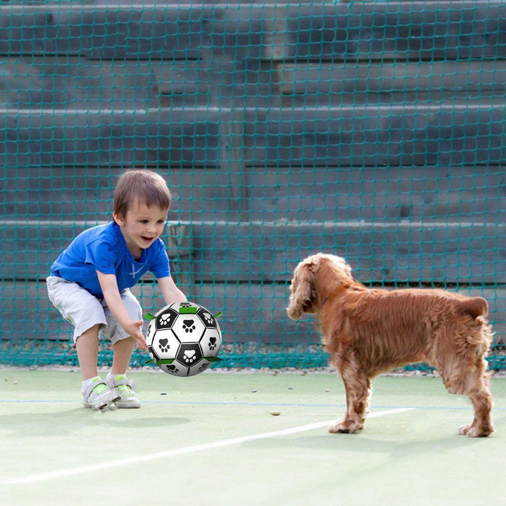 Nickolas 1 Đồ Chơi Tương Tác Với Thú Cưng