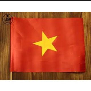10 CÁI CỜ VÂY  BÉ