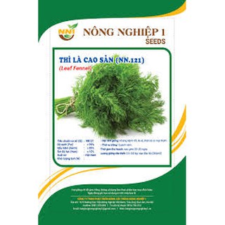 HẠT GIỐNG THÌ LÀ CAO SẢN (NN.121) 20G