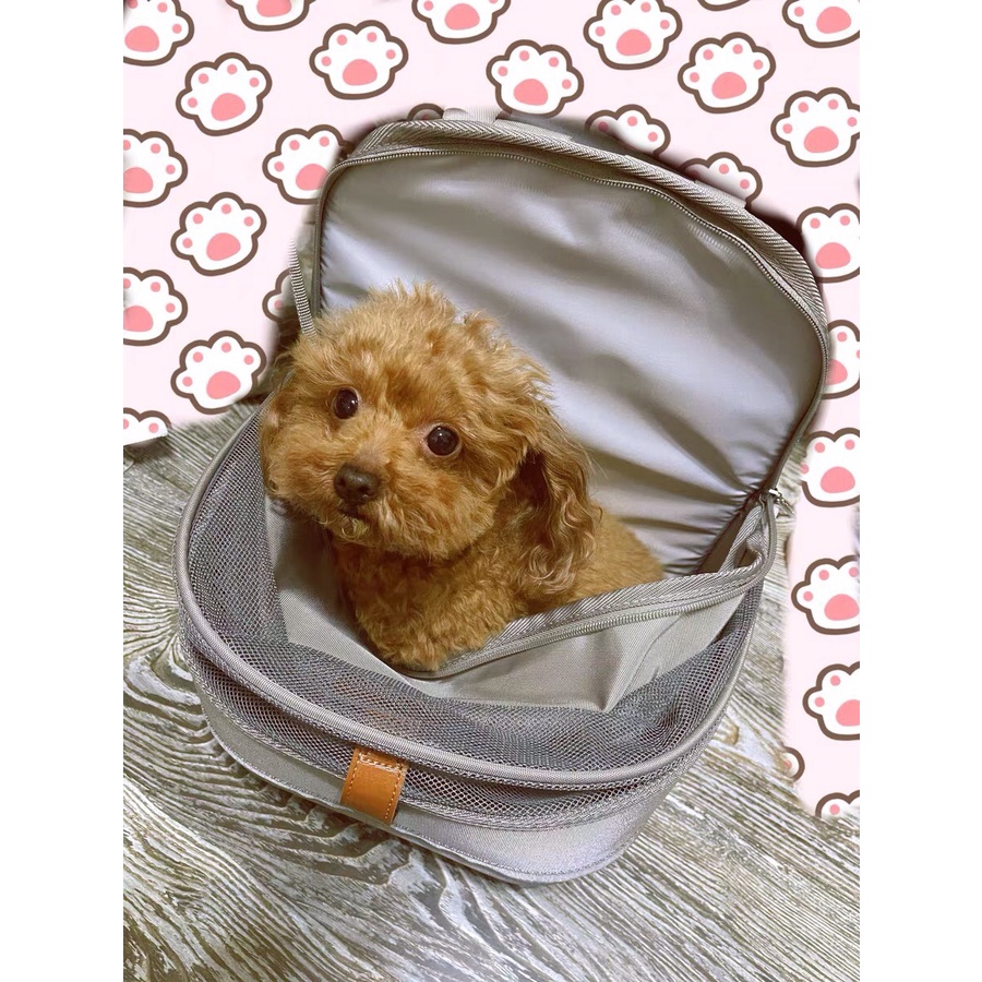 Balo cho thú cưng cực sang chảnh phối lưới thoáng khí form lớn - 4pets official
