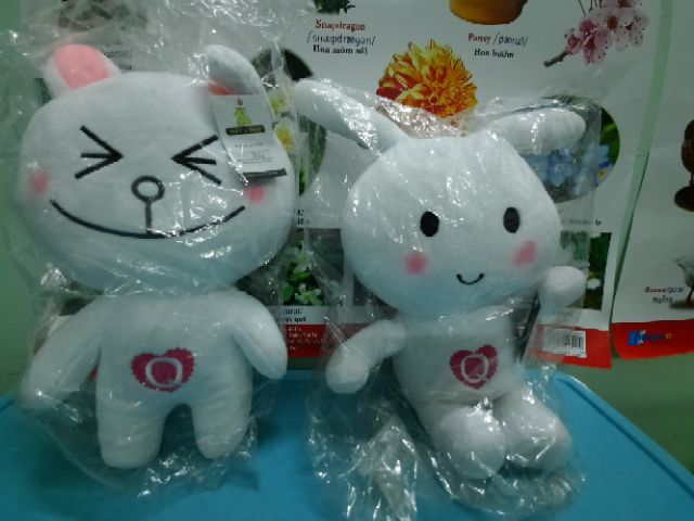 Thỏ bông trắng, thỏ bông cony