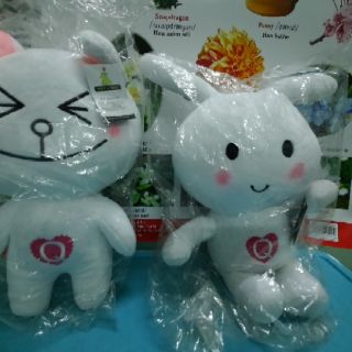 Thỏ bông trắng, thỏ bông cony