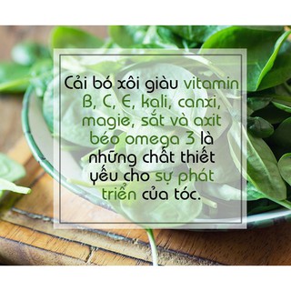 Bột cải bó xôi