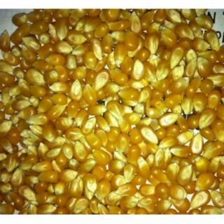 2 kg Hạt Bắp rang bơ