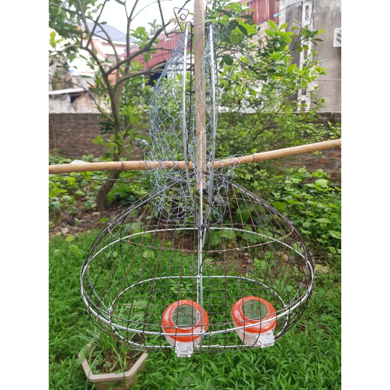 Lồng bẫy chim chào mào