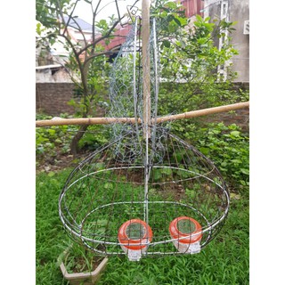Lồng bẫy chim chào mào