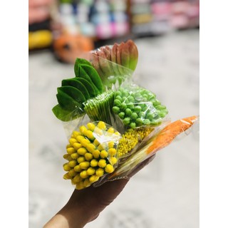nụ hoa, lá mai đào