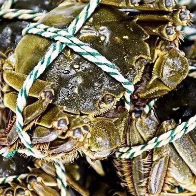 Cua Lông Thượng Hải VITOT Thịt Nhiều Gạch Ngon Đậm Đà