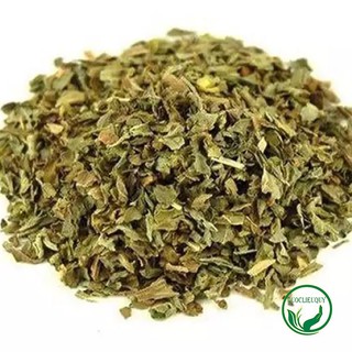 Freeship 🌱 1kg Lá Đu Đủ Đực (Khô, Sạch, Đẹp) - Sản phẩm được thu hái tự nhiên - DLQ068