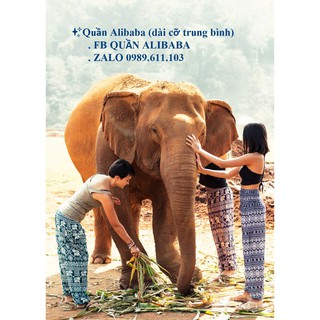 🌸 Quần Alibaba Harem Thái