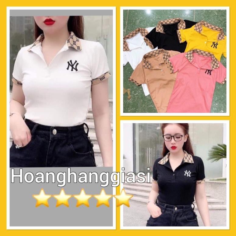 [SIÊU HOT] Áo phông nữ cổ đức chất đẹp ,Áo thun cổ bẻ 💗 áo thun cổ trụ chất vải borip đẹp 👑 * ' *