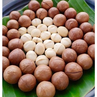 500g Hạt Macca DAKLAK Sấy Nứt Vỏ