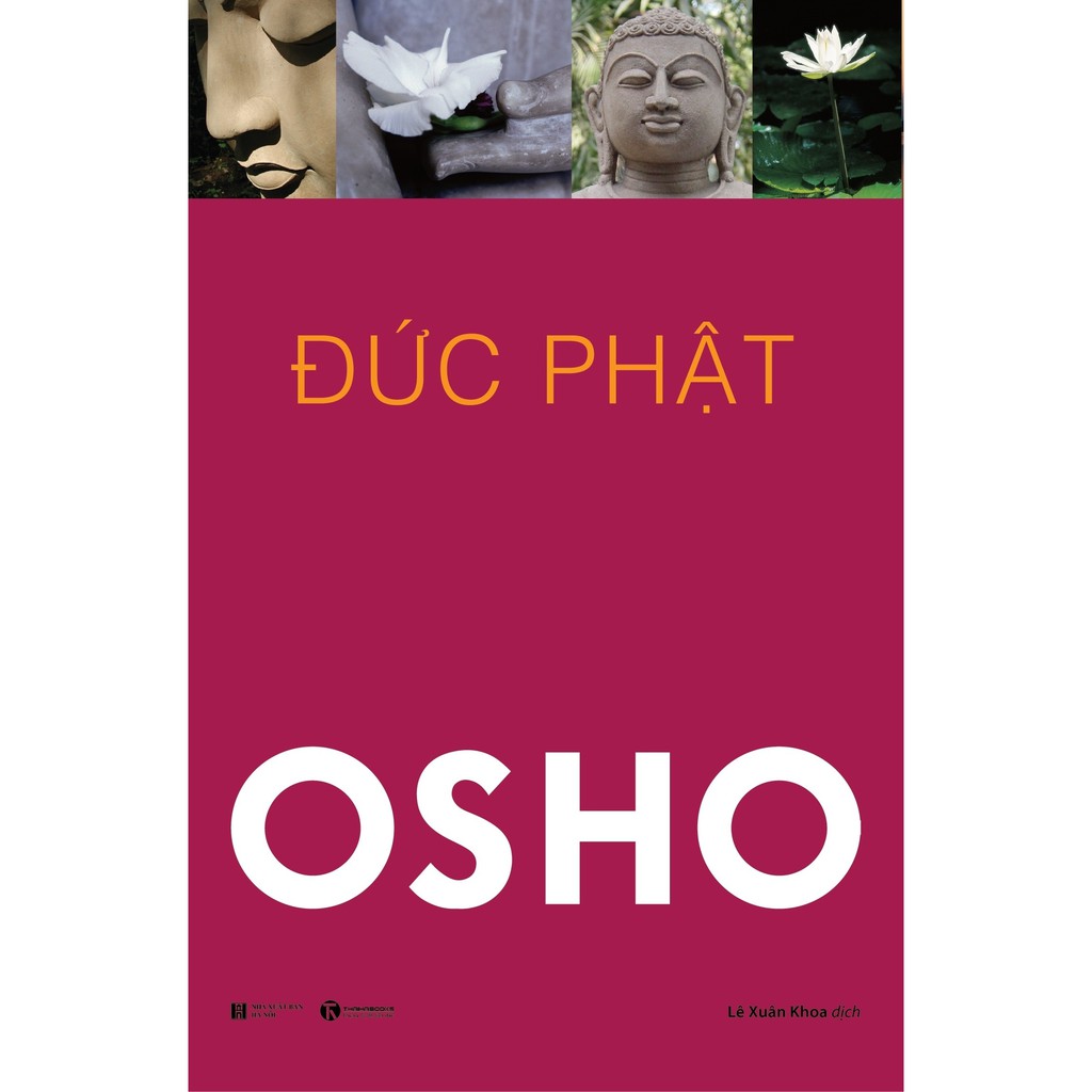 Sách - Combo Osho: Đạo + Đức Phật + Tantra + Thiền + Upanishad (Bộ 5 Cuốn) - Thái Hà Books
