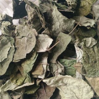 SƯƠNG SÂM KHÔ 100gr