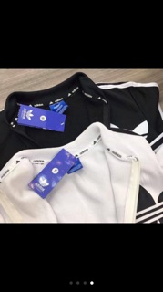 Bộ thể thao adidas nữ