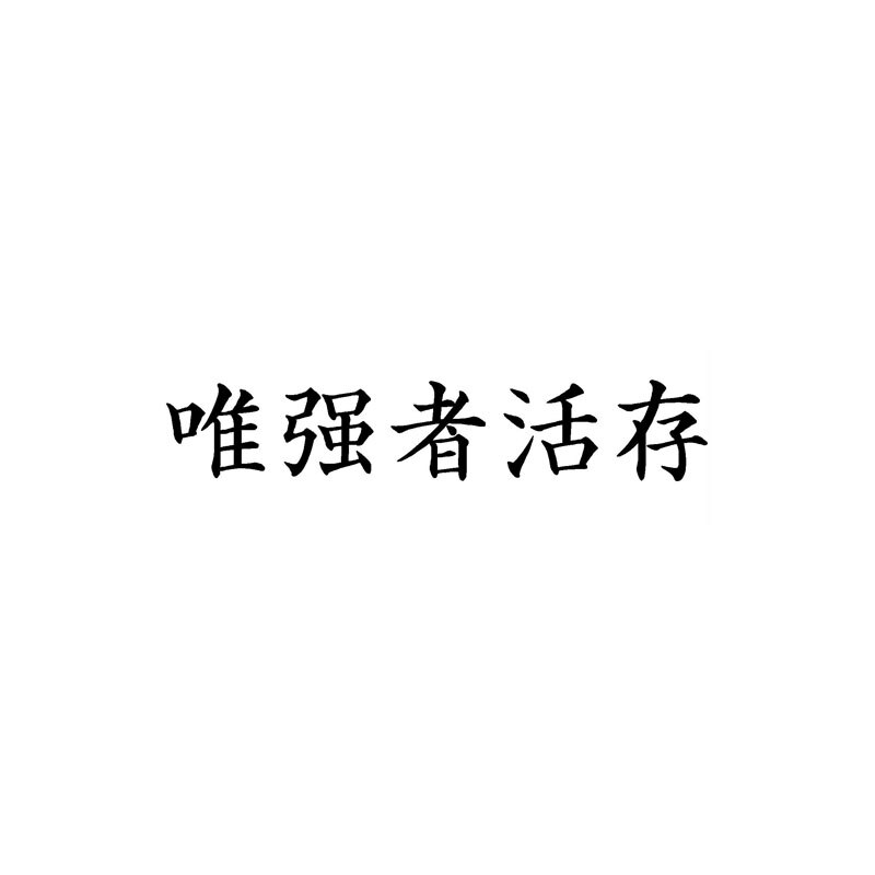 Đề can vinyl chữ Kanji phong cách Trung Hoa trang trí xe hơi kích cỡ 16cmx3cm
