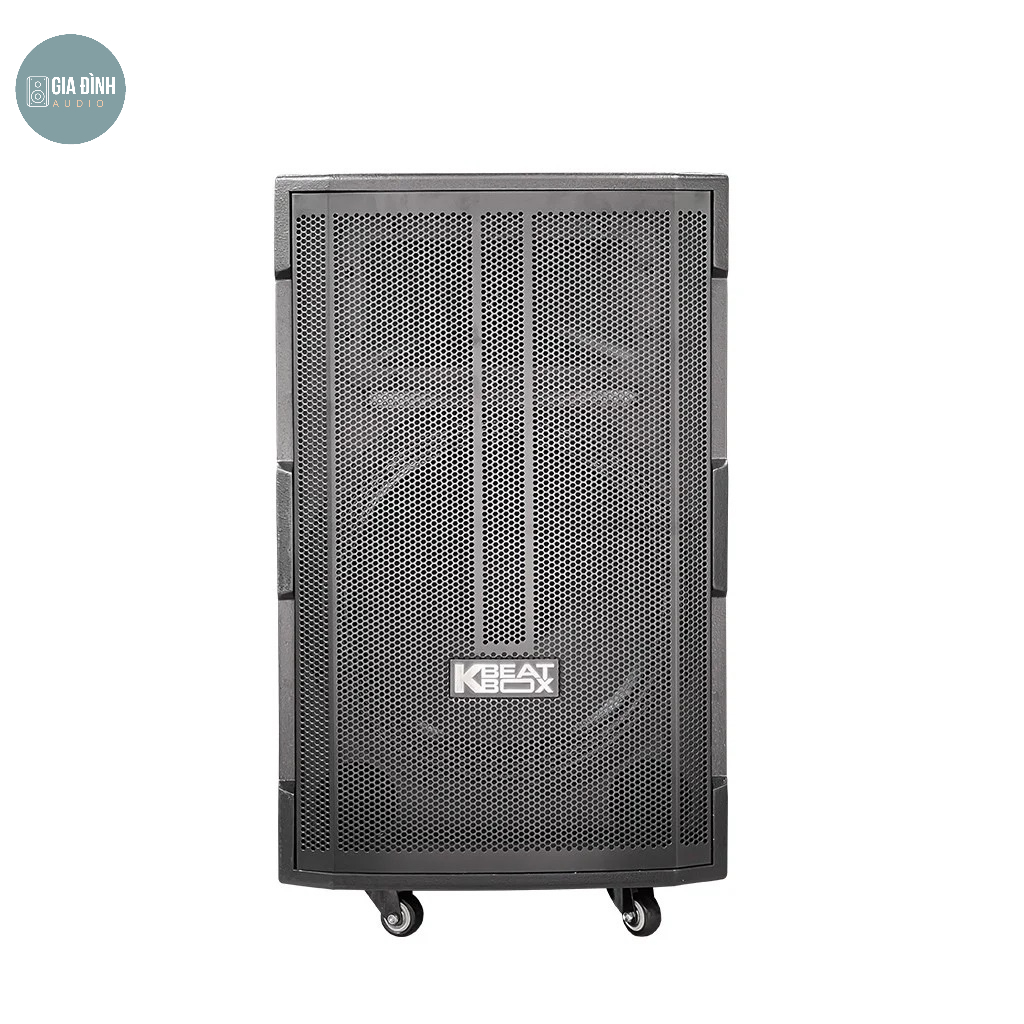 Loa kéo Acnos CB391G, Hỗ trợ cổng Optical - Chính hãng