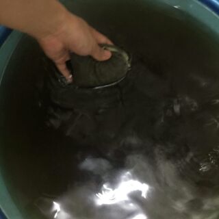 Găng tay gội đầu dưỡng sinh