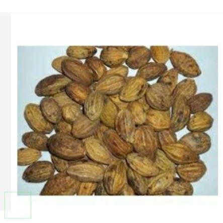 KHA TỬ KHÔ 100GR