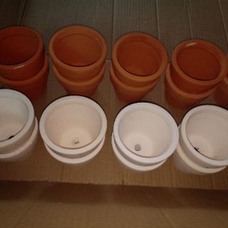 Chậu đất nung 9cm x 9cm