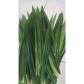 Lá nếp thơm / Lá dứa tươi - GIA VỊ THIÊN NHIÊN