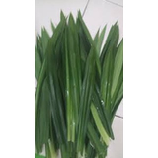 Lá nếp thơm / lá dứa tươi - gia vị thiên nhiên