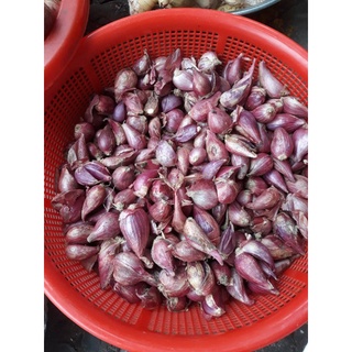 Hành tím long hương