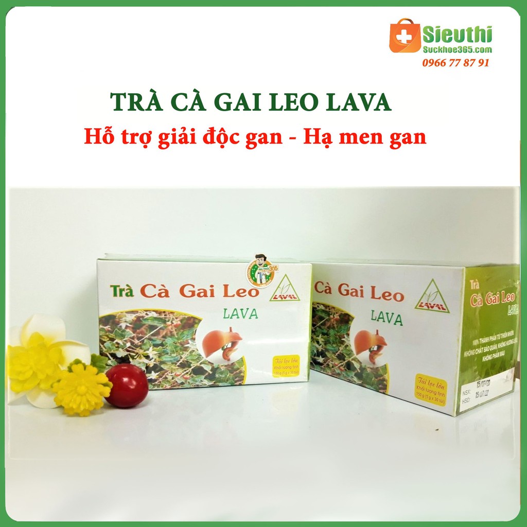 Trà Cà Gai Leo Lava- Hỗ trợ các vấn đề về Gan
