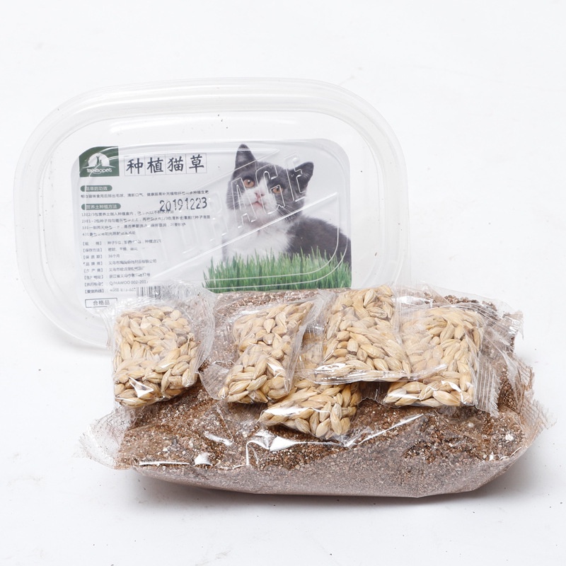 Hanpet.GV- Hộp hạt giống cỏ mèo (- 384) catnip tươi cho mèo