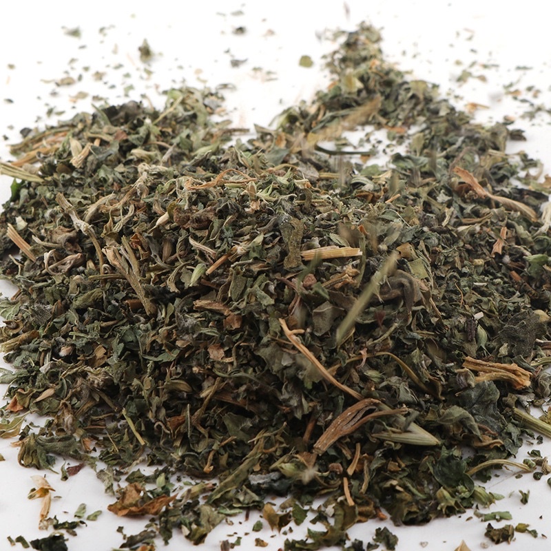 Cỏ bạc hà mèo Catnip - phê pha không biết đường về