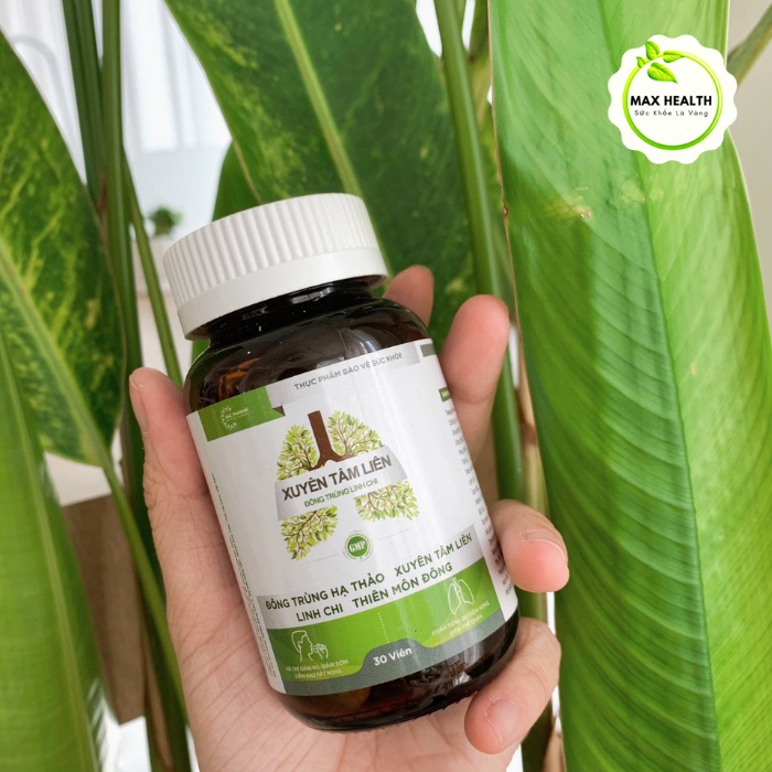 Xuyên Tâm Liên – Đông Trùng Linh Chi, thanh nhiệt, giải độc, bổ phế - MaxHealth