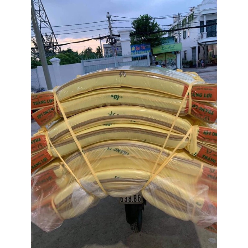 (chính hãng đủ size) Nệm cao su non THẮNG LỢI chính hãng, free ship (BH 15 năm)