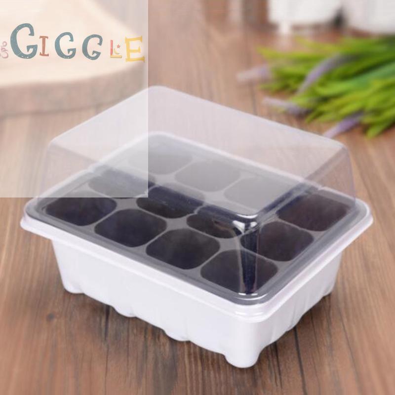 Set 3 hộp ươm mầm cây 12 lỗ thiết kế tiện dụng